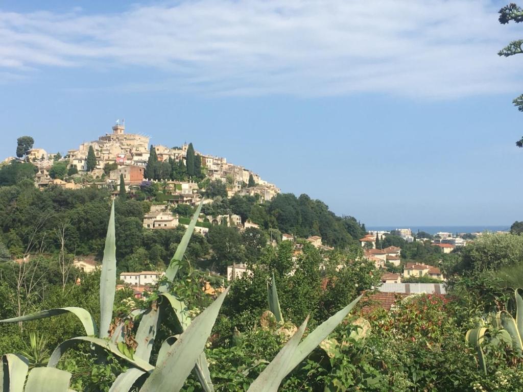 Les Yuccas - Pool - Sea View Villa Cagnes-sur-Mer